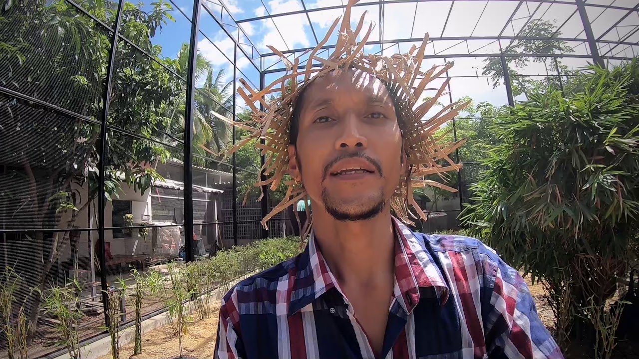 กรงรวม สวรรค์นกเล็ก