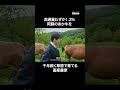千年続く草原を守る牛飼い親子 #農家 #ドキュメンタリー #shorts　#千年草原