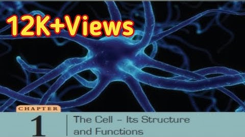 ||D.A.V Class 8 Science Ch-1 Explanation||The Cell-Its Structure and Functions||Study with Deep||