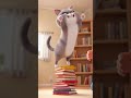 Cute Cat be careful!!!🙀🙀🙀 #ai #cute #cat #pets #animals
