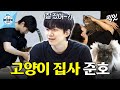 이준호의 사랑스러운 고양이 4마리와 함께하는 집사 라이프 🐱