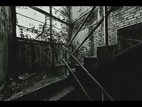 Tar.mp4