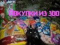 Покупки из зоомагазина для кошки🐈