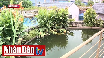 Khu công nghiệp sinh thái - Hướng phát triển bền vững