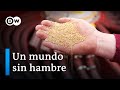 Comida para todos  el futuro de la alimentacin  dw documental