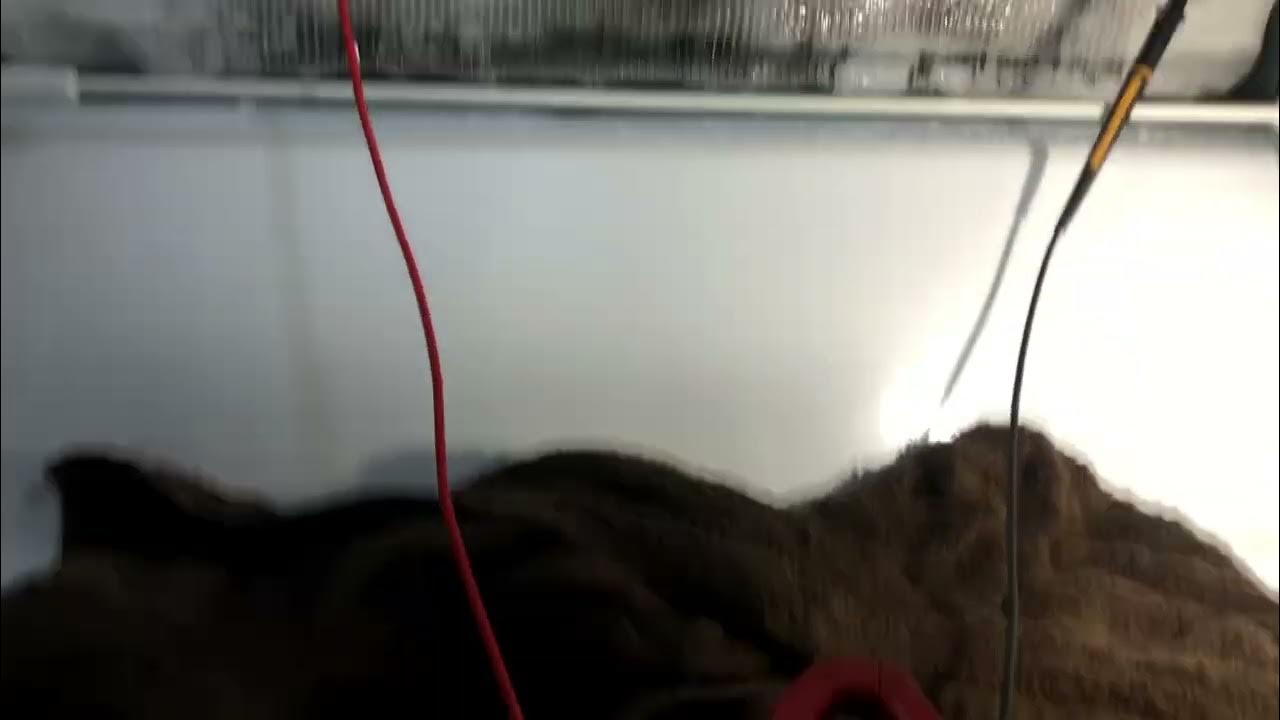 Whirlpool Refrigerator not cold enough Freezer Icing Up. WRF555SDFZ