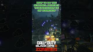 How To Do The Sentinel Artifact Teleportation Easter Egg on Terminus Easter Egg Black Ops 6 Zombies