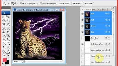 T-Seps Errors Running Routines