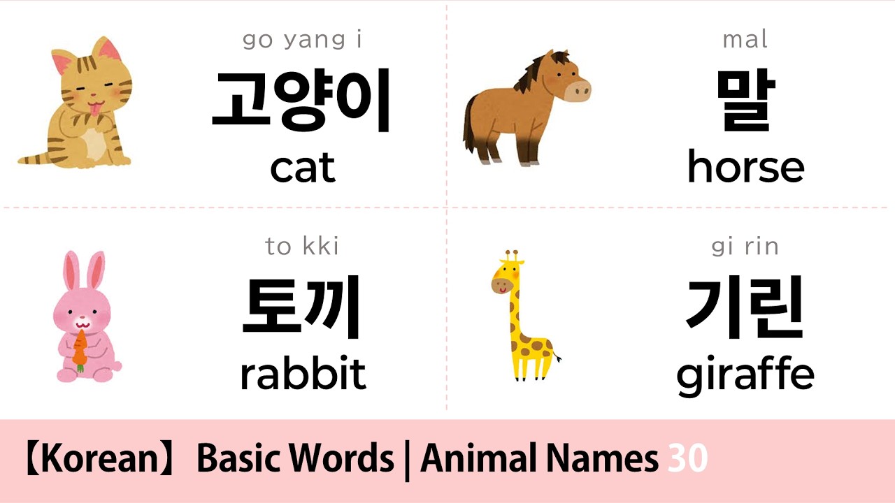 Korean Basic Words｜Animal Names 30
