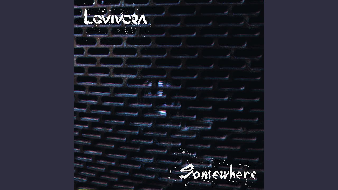 Somewhere in the Trip