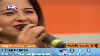 Canan Başaran - Özlemişim Yavruları (Nolur Nolur) @CananBasaran Resimi