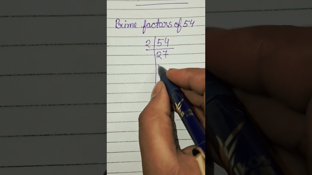 Prime Factors Of 54
