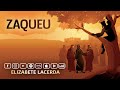 Elizabete Lacerda 🎵 ZAQUEU ♫♪♫ (Cover)