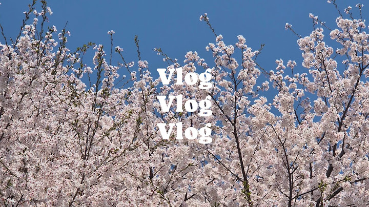 vlog | 이사 후 정리하는 일상, 새 동네 적응, 집들이, 남편 생일상 차리기