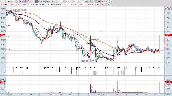 바이젠셀 2차 308080 패턴분석 및 투자전략