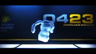 Oryctolagus Cuniculus 0423 By Metaphrenie 2001