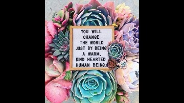 9/25/19 CTT Update  and message for lightworkers