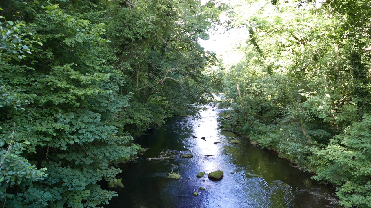 uk SHEFFIELD national park FOREST RIVER 1 4k uhd