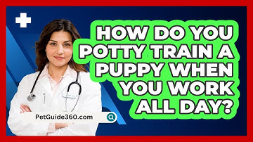How Do You Potty Train A Puppy When You Work All Day? - PetGuide360.com