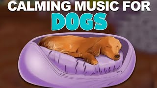 24 Hours of Music To Relax Your Dog