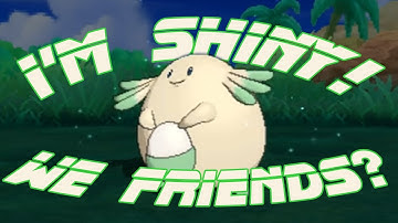 LIVE (SuMo): Shiny Chansey after 206 SOS encounters