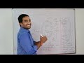 Life Process/V-13/Excretion in Humans/Excretory system/Kidney/Nephron/class 10 #biology #science