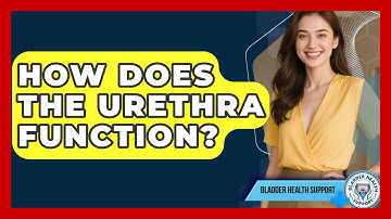 How Does The Urethra Function? - Bladder Health Support