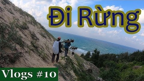 Vlogs #10 | Đi Rừng Đào Được Cây Sim Rừng Chơi Bonsai Mini Cực Chất | Đi Rừng Lấy Cảnh