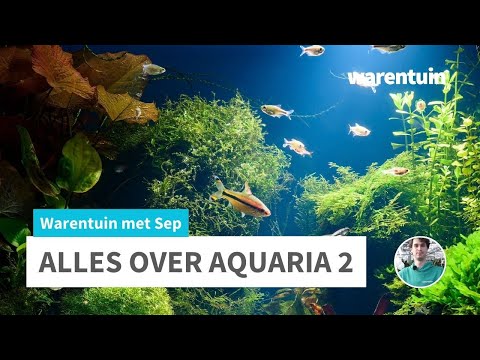 Video: Wat u moet weten over de aquaria in Florida