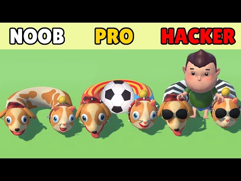 NOOB vs PRO vs HACKER in Cats & Dogs 3D