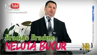 NELUTA BUCUR . Bradule bradule (live video)