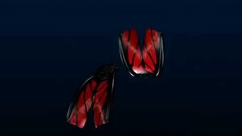 Atomic Aquatics Split Fins