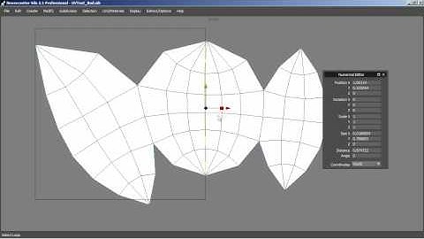 Silo 3D / Tutorial / Symmetrizing UV Islands
