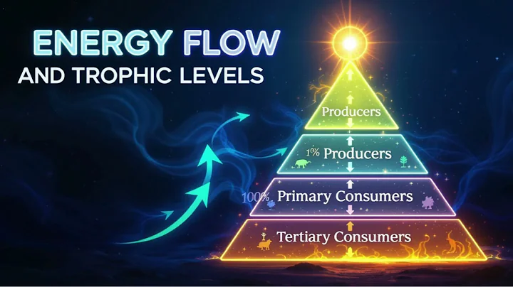 Energy Flow and Trophic Levels Educational Song