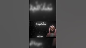 الله نور السماوات والأرض ✨ | تلاوة تبكي