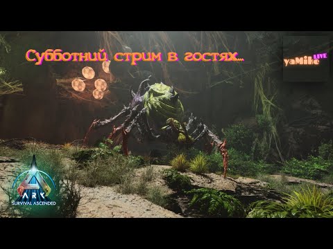 Видео: ARK: Survival Ascended. PVE. Субботний стрим в гостях...