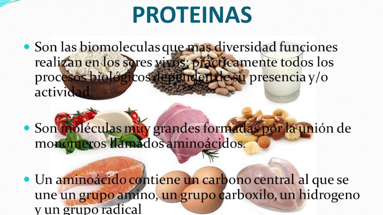 Ejemplos de biomoléculas orgánicas