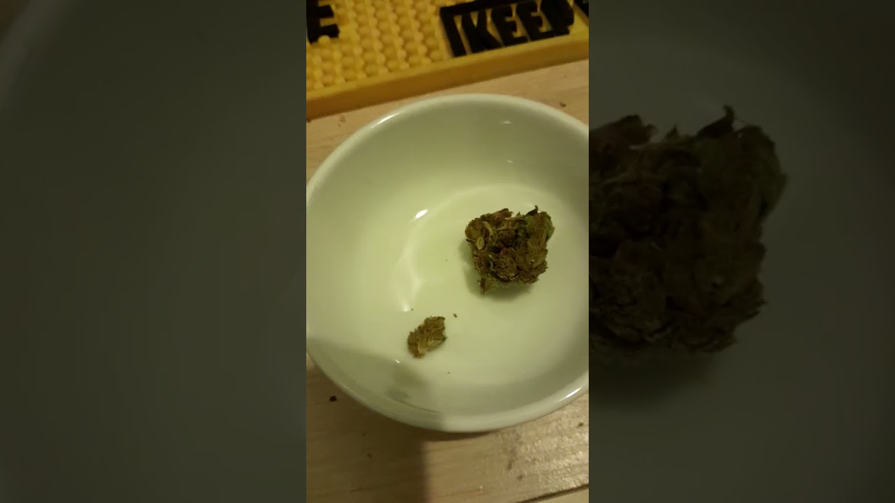 The last nug. Sundaze COSMOS 'Kush cookies' very nice