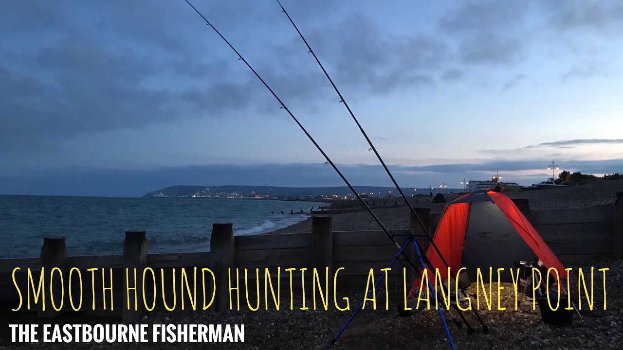 TARGETING SMOOTH HOUNDS AT LANGNEY POINT EASTBOURNE (UK SEA FISHING
