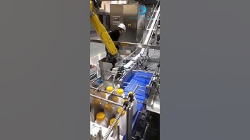 Milk bottle automatic sorting feeding robot hand cartoning machine encasing line testing video