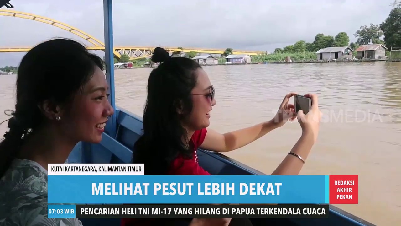 Melihat Pesut Dari Dekat | REDAKSI PAGI (07/07/19) video phone beyonce mp3