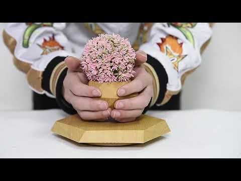 schwebender Blumentopf