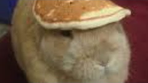 Drawing country flags by memory part 2