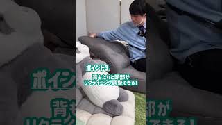 ニトリLIVEで紹介しました！【つながるハイバックポケットコイル座椅子】