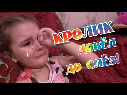 Вопрос: Как сделать самодельные игрушки для кролика?