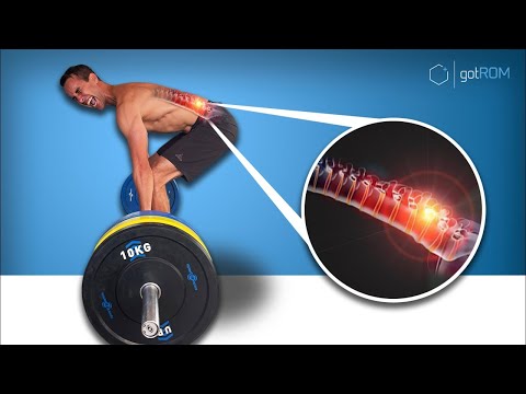 The Ultimate Guide To Low Back Pain (STU MCGILL MISSED 1 MAGIC KEY!)  @GotROM