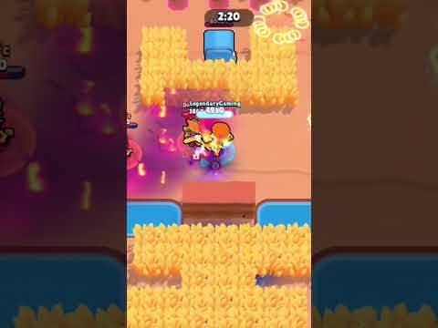 Mico Max Tier