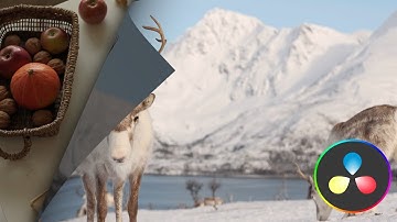 Page Curl Transition l Davinci Resolve 19