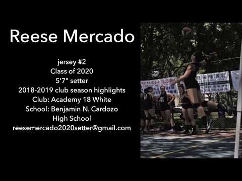 Reese Mercado 2020 Setter (jersey #2) Reese Mercado 2020 Setter (jersey #2)