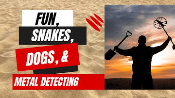 Finding Treasure 🗺️: Metal Detecting at Kingsland Slab with XP Deus 2 🎯 #metaldetecting #xpdeusii